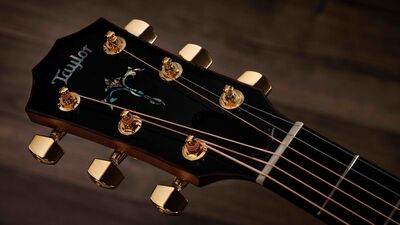 Taylor-Legacy-914ce-1201215106-gallery-09-2025.jpg