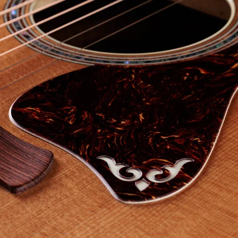 Gold Label 810e